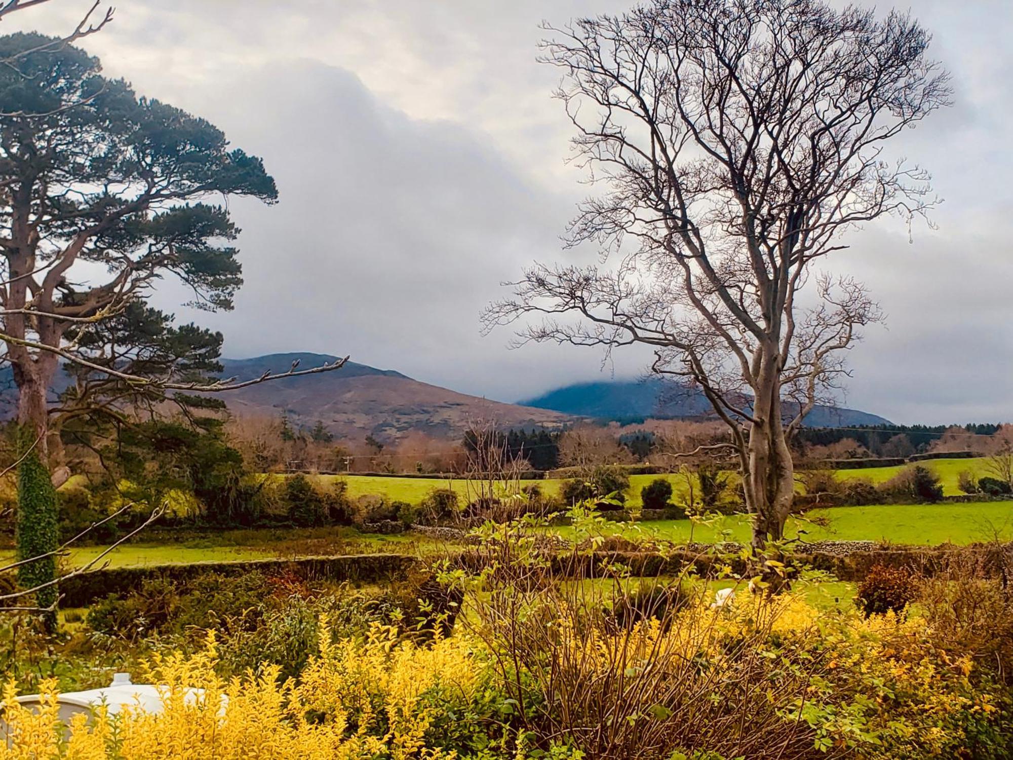 Bryansford Cottage Bagian luar foto