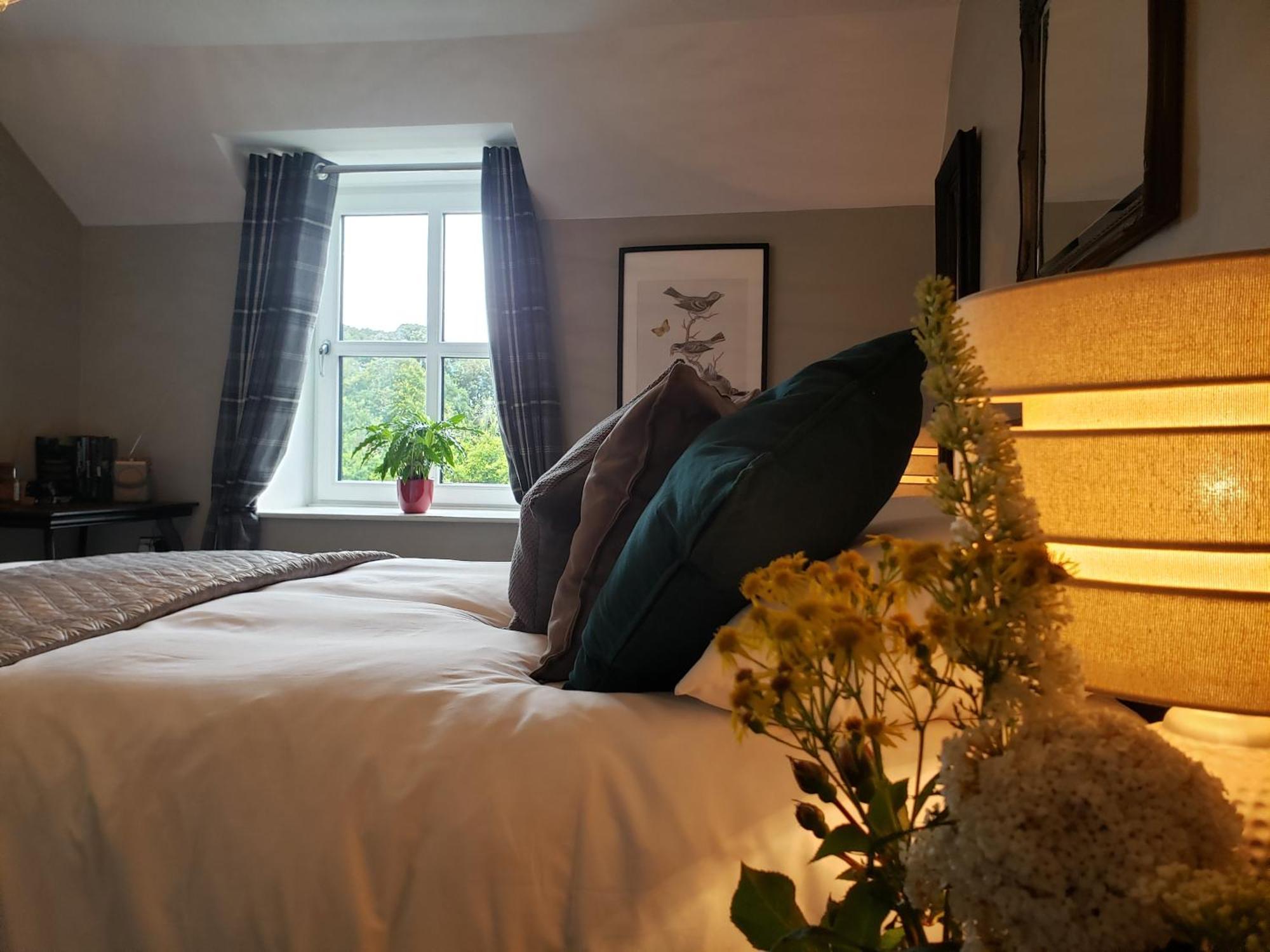 Bryansford Cottage Bagian luar foto