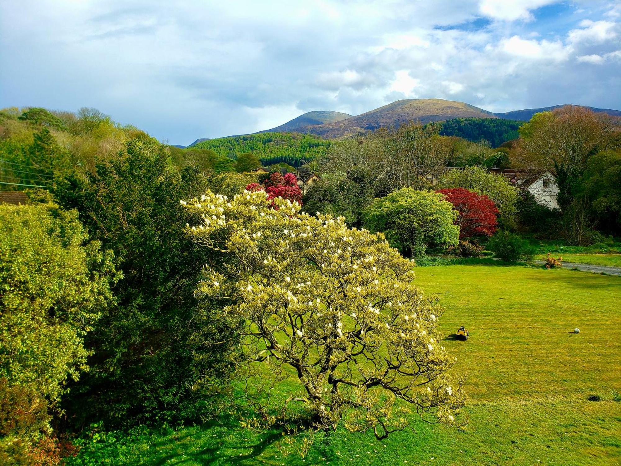 Bryansford Cottage Bagian luar foto